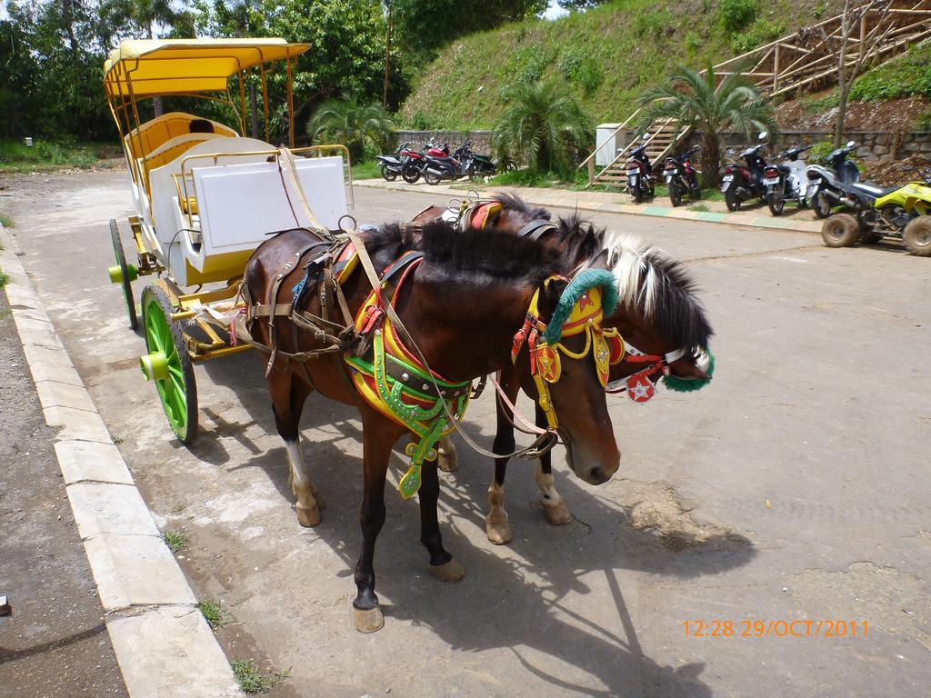 Homestay Triniti Lembang Exterior foto